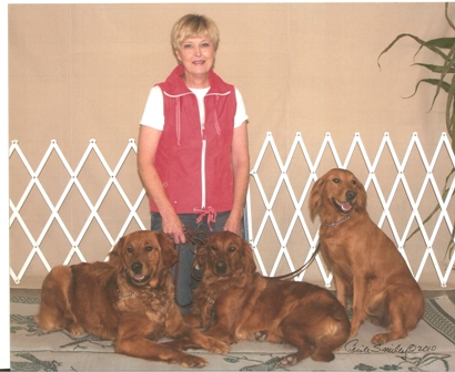 Saturday Night Golden Retrievers, Hunting &amp; Field Golden Retrievers ...